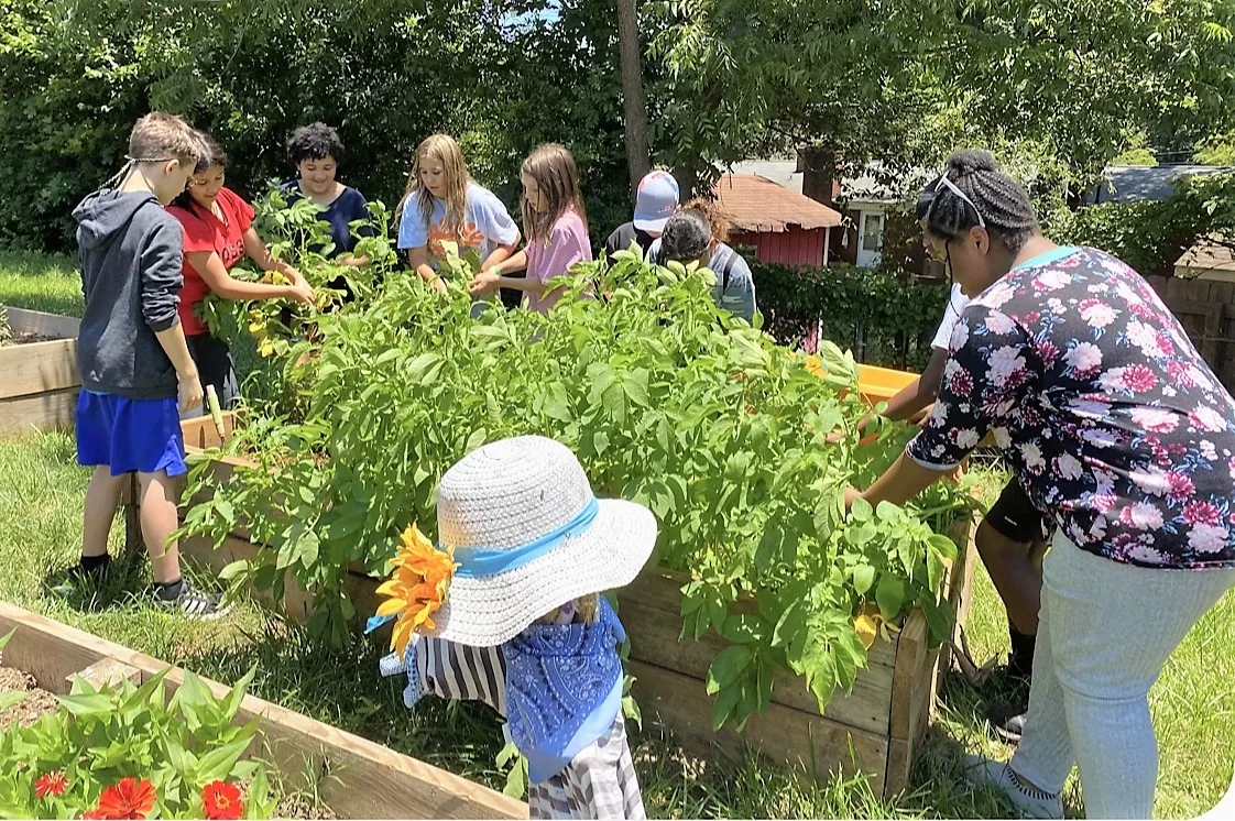 Cultivation Camp YMCA Program Teaches MiddleSchoolers How to Grow a